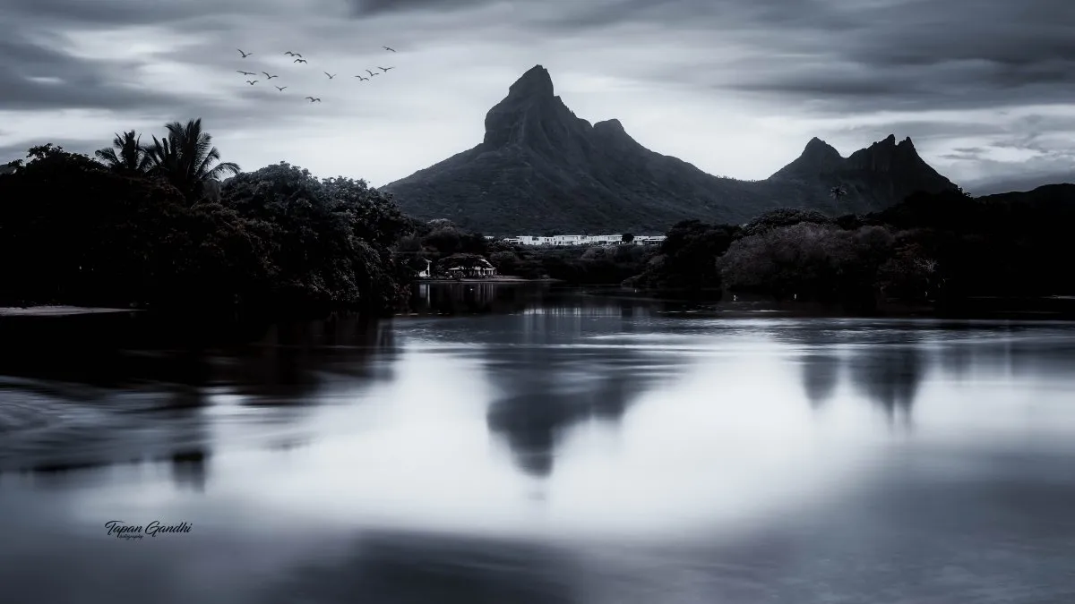 View of Piton de la Petite Rivière Noire mountain reflected in Tamarin Lagoon waters in Mauritius with birds flying overhead