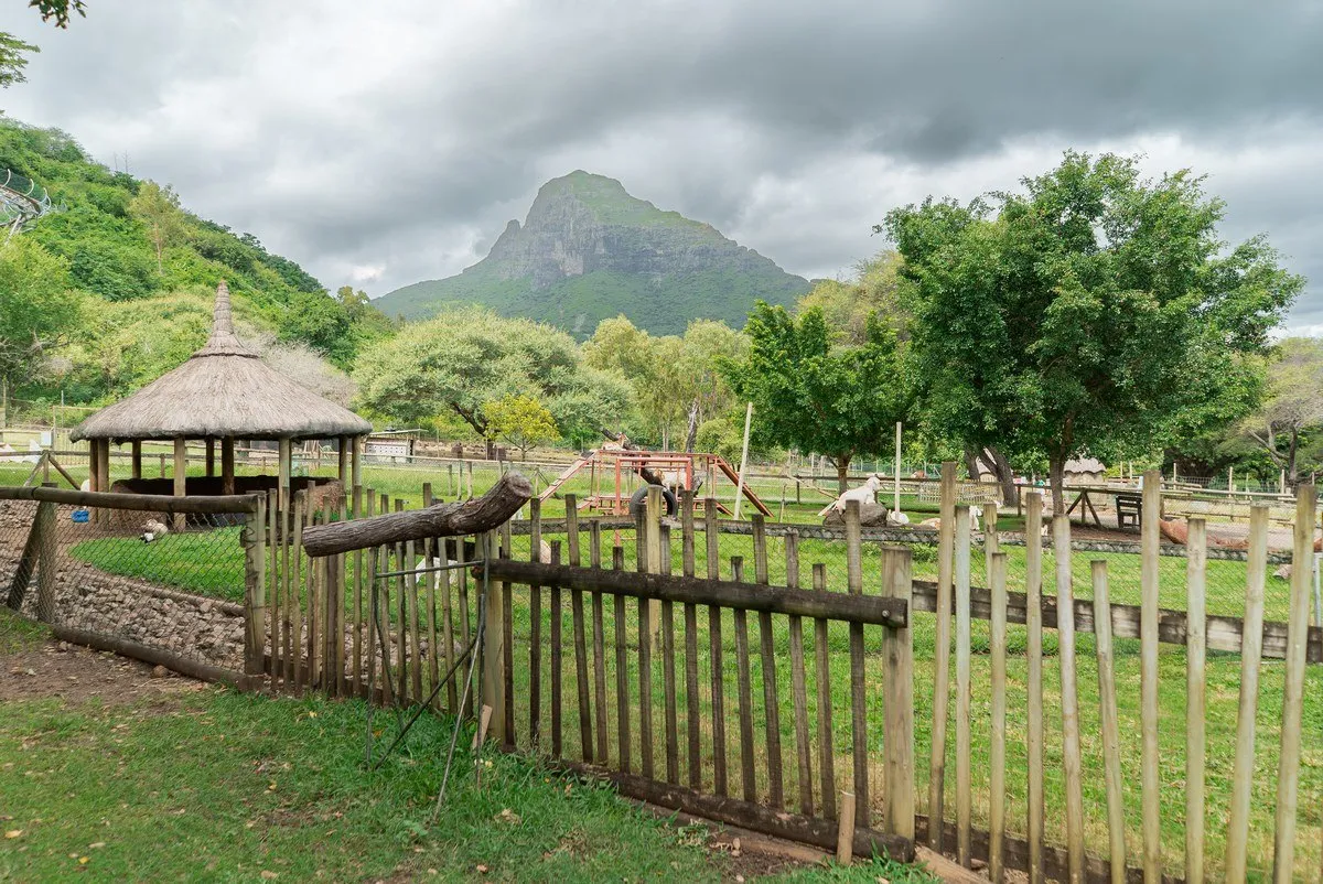 Lush greenery and traditional farm buildings at Casela Small Farm with Rempart Mountain in Mauritius