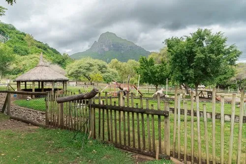 Casela Small Farm Mountain View