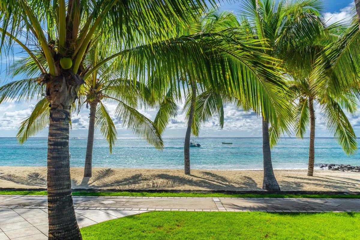Peaceful beach pathway along palm trees at a deserted seacoast in Mauritius