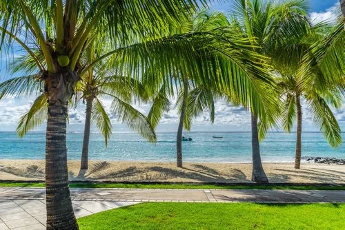 Most beautiful beach pathway for a walk
