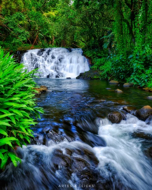 Kalpatia Waterfall Near Rose Belle