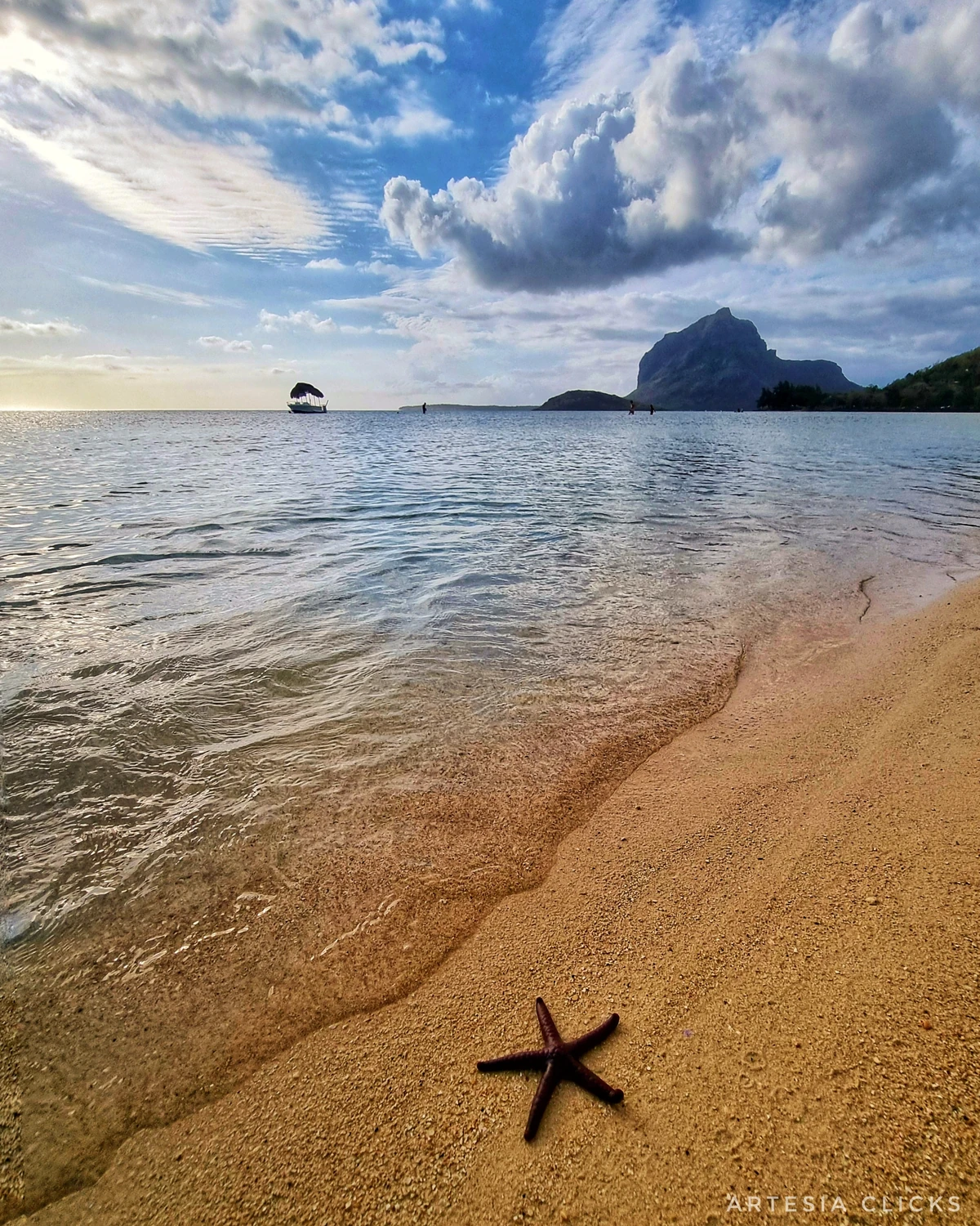 Starfish on the sand at La Prairie beach with Le Morne in the background and calm lagoon water.