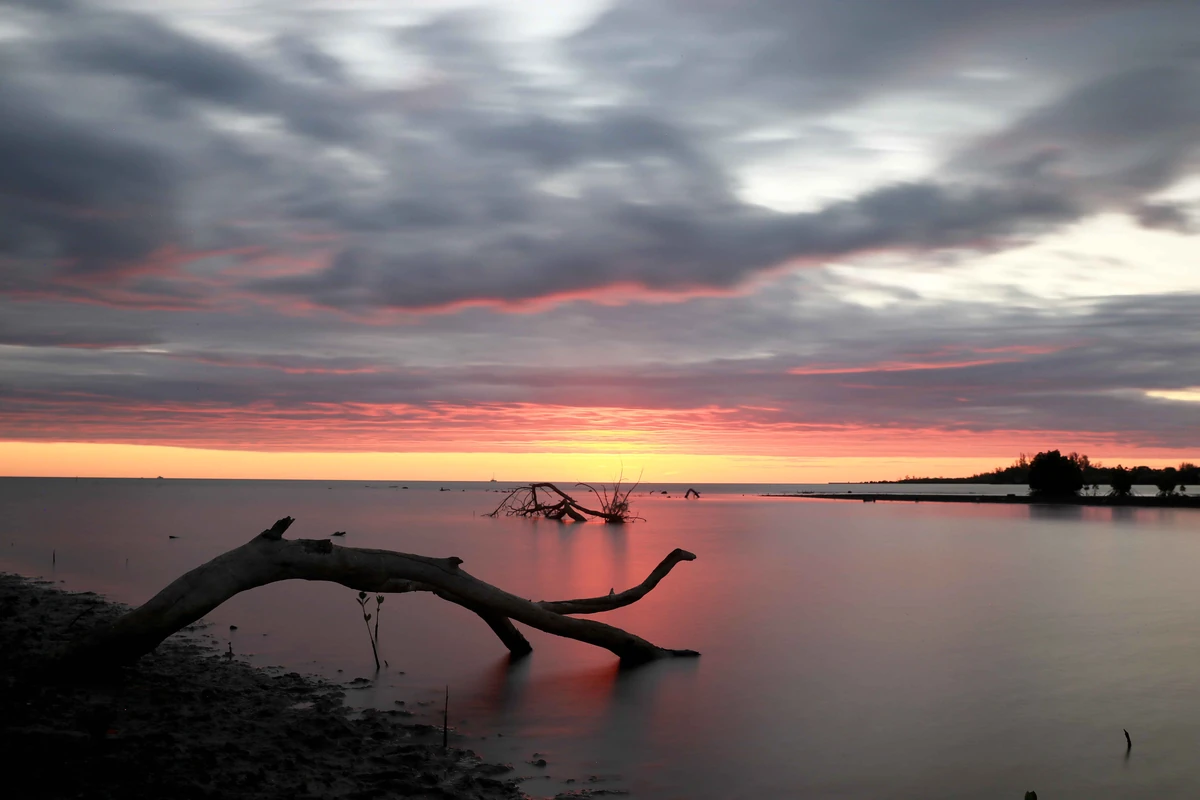 Long-exposure sunset at Case Noyale in Mauritius with a dead branch fallen into the sea, calm water, and dramatic clouds.