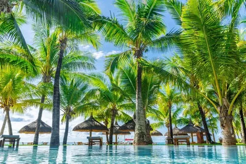 Stunning ocean view from hotel pool at Le Paradis hotel