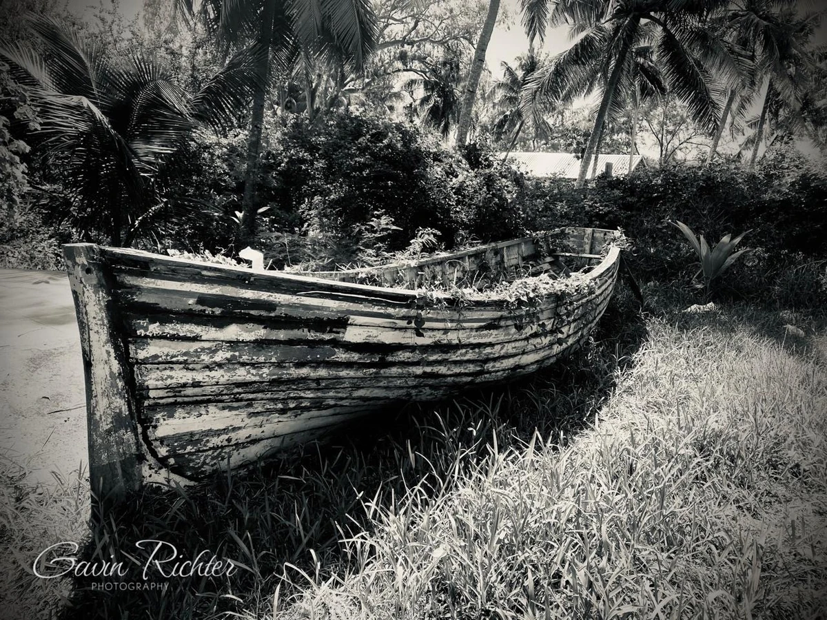 Old abandoned wooden boat in black and white, resting on grass beneath tropical trees in Mauritius.