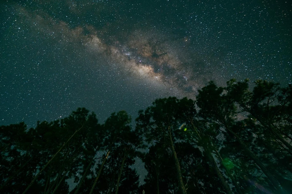Milky Way near the zenith above tall tree silhouettes in Chamarel, Mauritius.