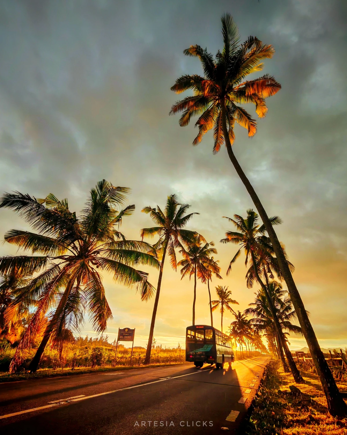 Early morning view of Bel Ombre road in Mauritius, with a bus driving between coconut palms, sugarcane fields, and golden sunrise light.