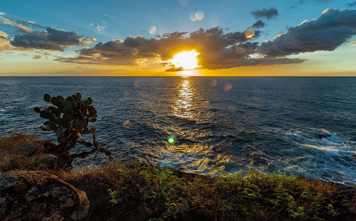 Sunset seen from the cliffs of Albion in Mauritius, with golden reflections on the sea, rocky foreground, and a cactus silhouette.