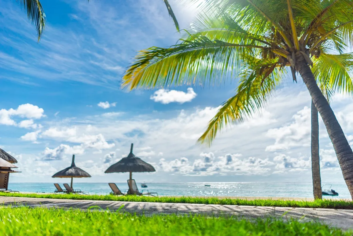 Beach pathway with grass and trees under cloudy sky in Mauritius near Le Paradis Beachcomber