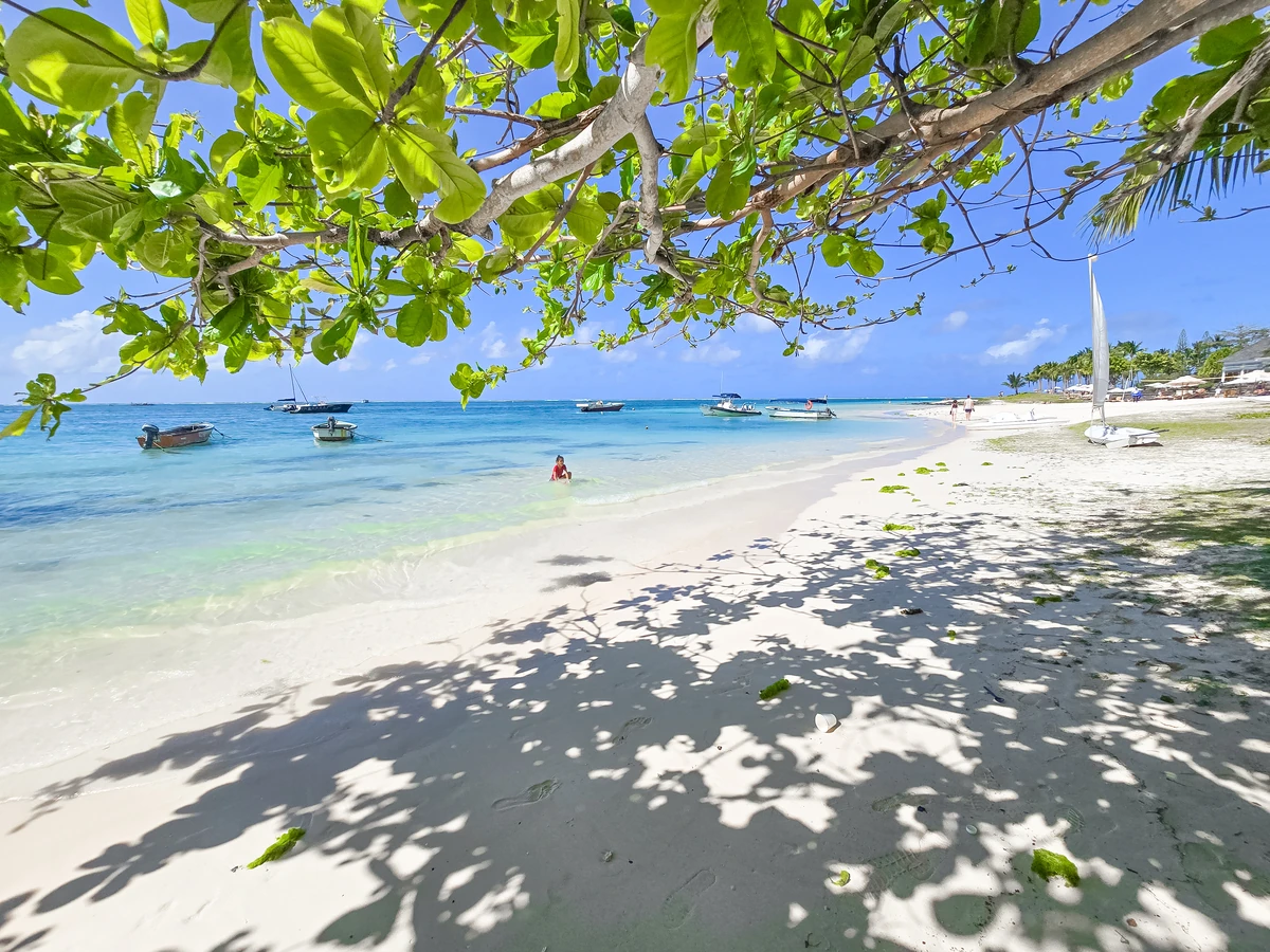 Belle Mare beach in Mauritius seen from beneath coastal tree shade, with white sand, turquoise lagoon, and boats in the distance.