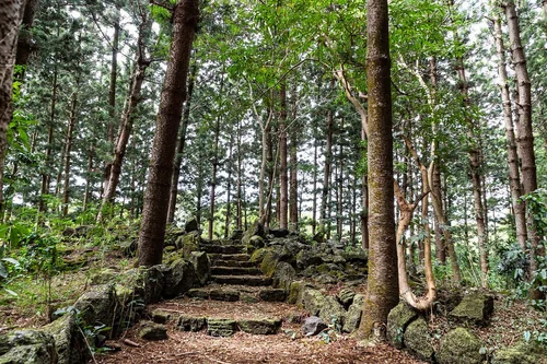 Old Stone Stairs in Daruty Forest