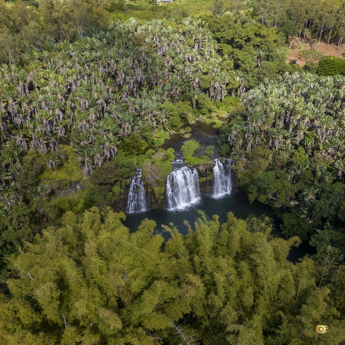 Aerial drone view of Cascade Edward at Deux Bras in Mauritius, showing several waterfall streams falling into a natural pool surrounded by dense vegetation.