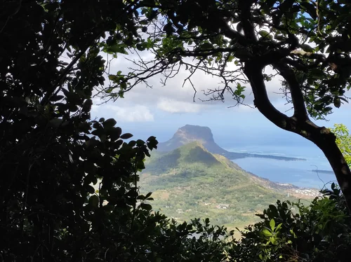 Le Morne Seen Through the Forest from Piton de la Petite Rivière Noire