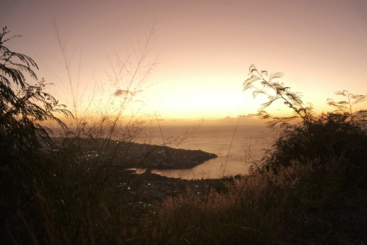 Sunset view from the top of Citadelle Fort in Port Louis, with grasses in the foreground and the coastline visible below.