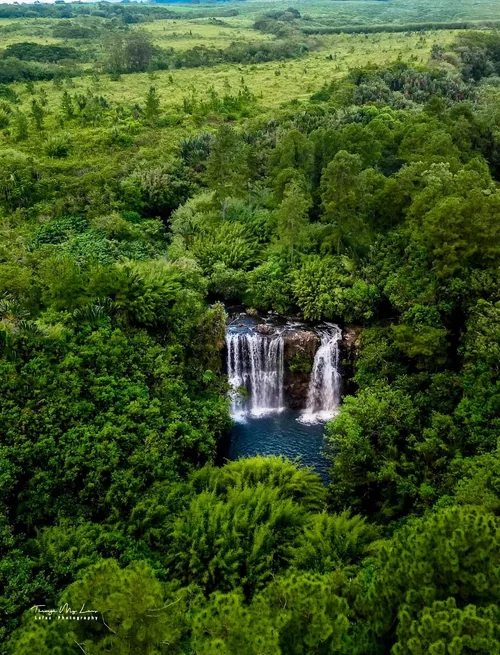 Cascade Rioux Hidden in the Green Canopy