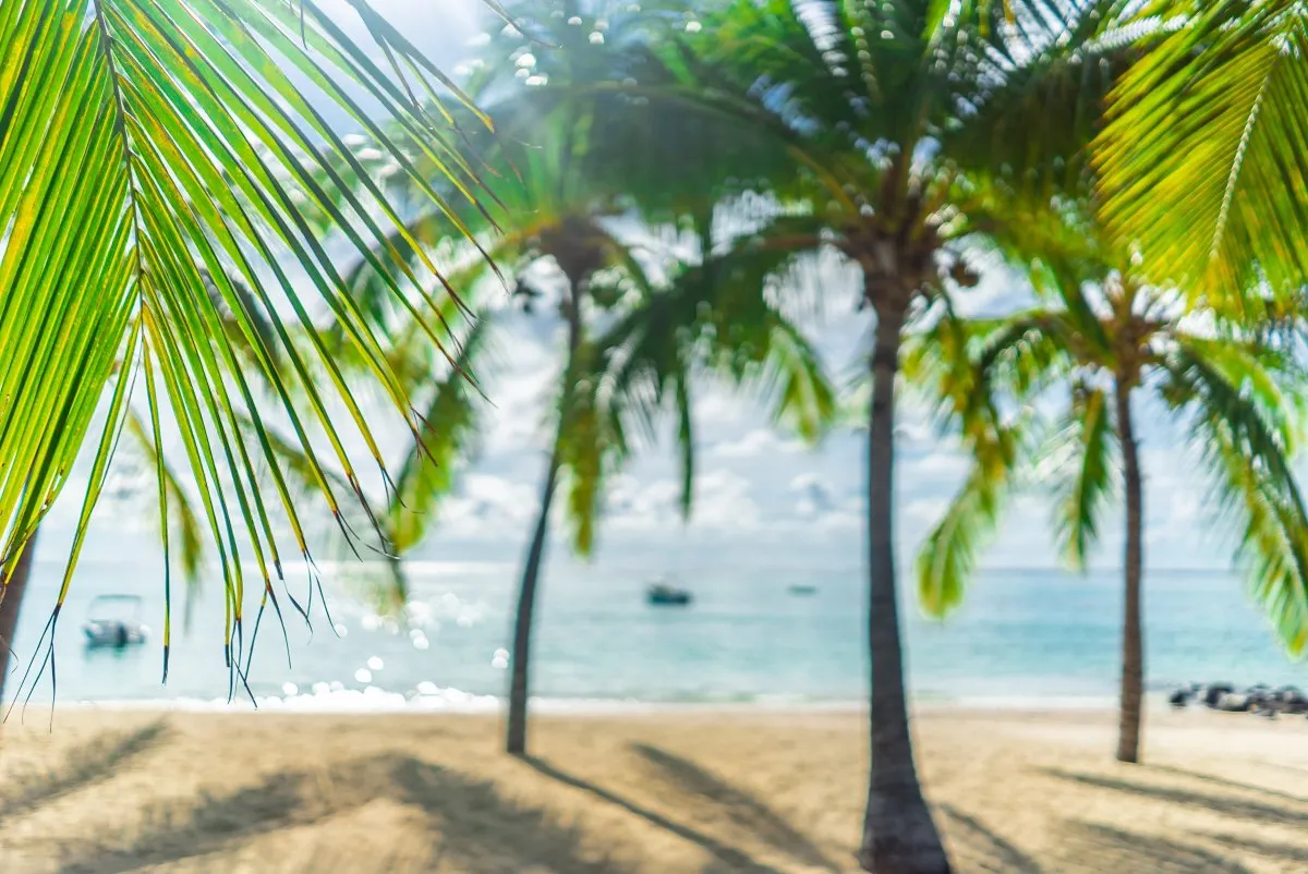 View of emerald sea and golden beach with palm trees at a Mauritius resort
