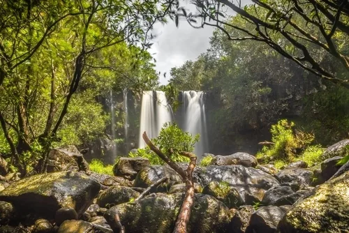 Cascades Leon in a dense forest