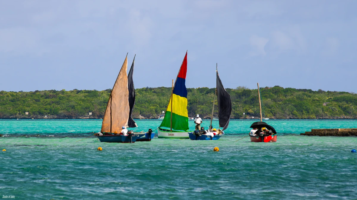 Colourful traditional sailing pirogues racing during the Mahébourg Regatta on the lagoon in Mauritius.
