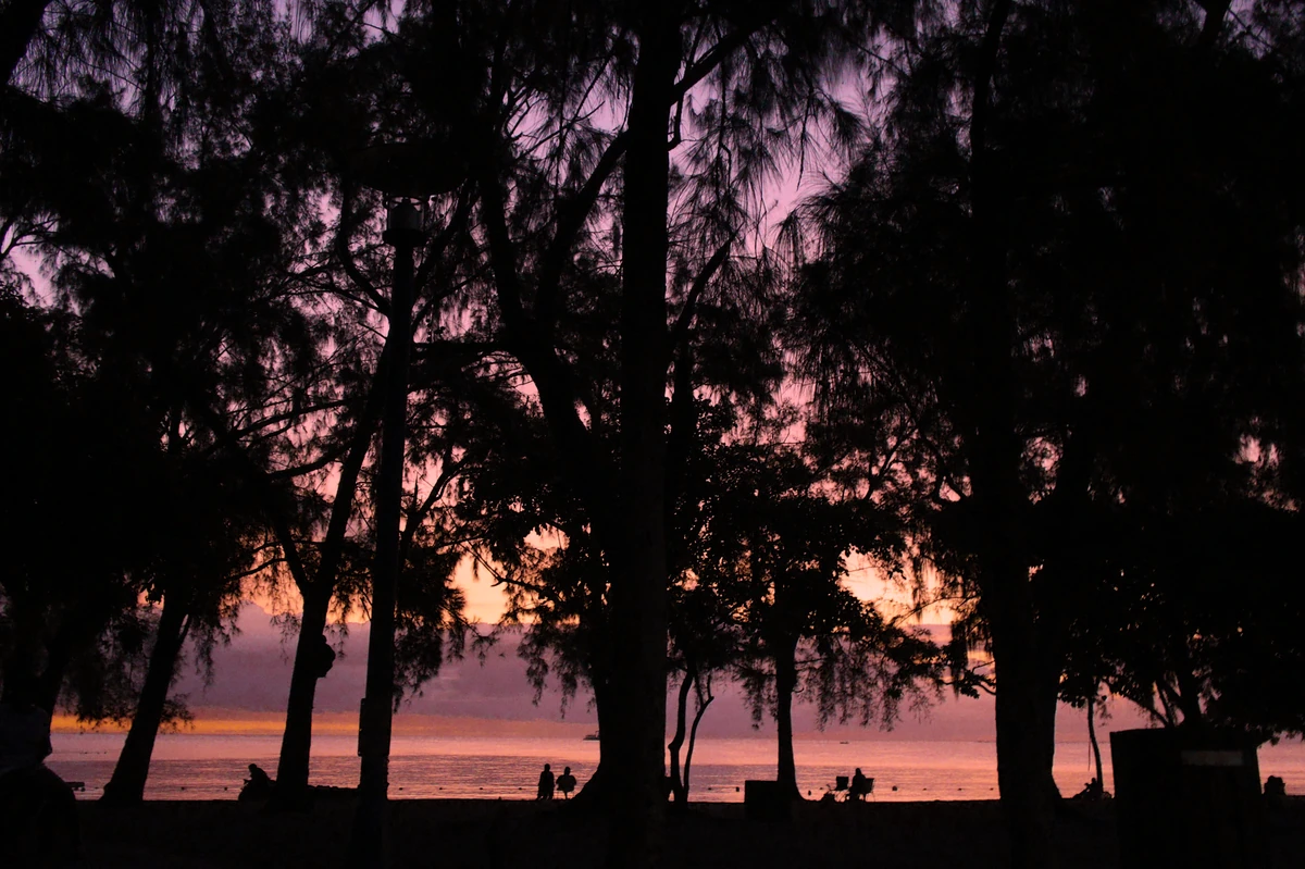 Sunset silhouettes through trees at Mont Choisy beach, with people near the shoreline and warm evening colours over the sea.