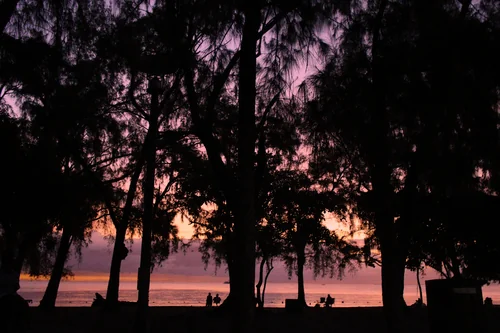 Sunset Silhouettes Through the Trees at Mont Choisy Beach