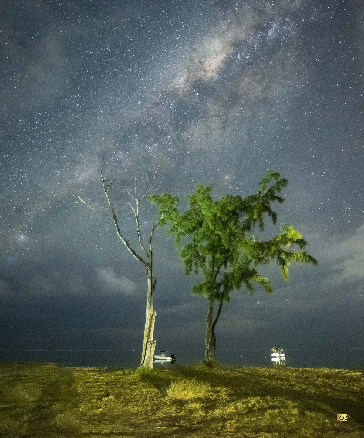 Milky Way above La Prairie Beach in Mauritius with two trees on the shoreline at night.