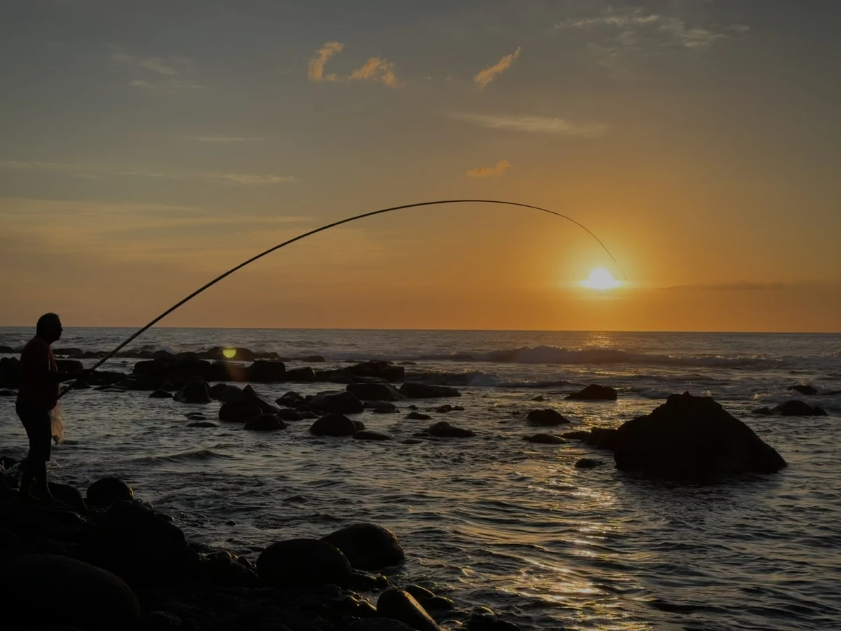 Silhouette of a fisherman on rocky shores at sunset in Albion, Mauritius.