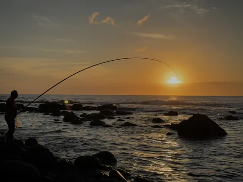 Silhouette of a Fisherman on Albion’s Rocky Shore at Sunset