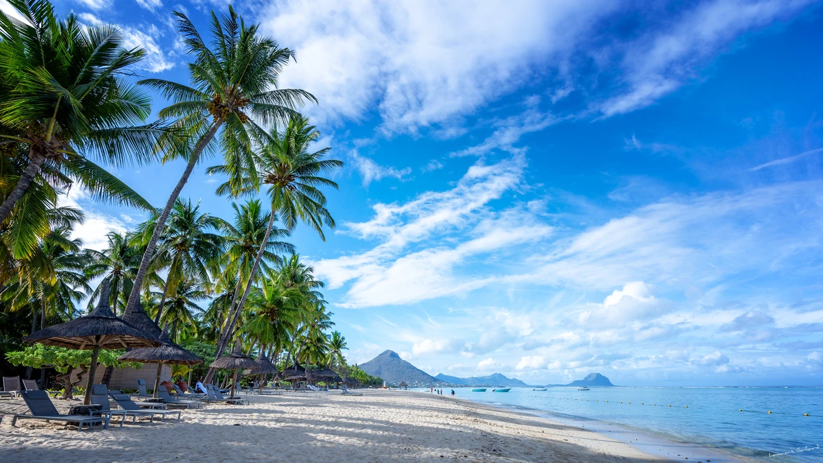 Peaceful Flic en Flac beach in Mauritius with tall coconut palm trees, sandy shoreline, calm turquoise waters and distant mountains beneath a blue sky