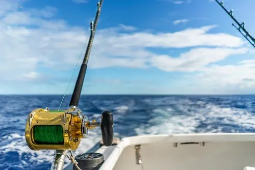 Golden Big Game Fishing Rod with reels