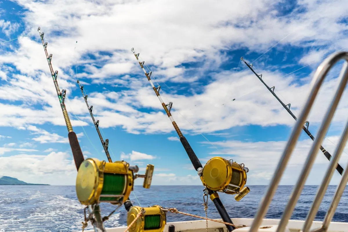 Golden fishing reels and black rods with fly lines crossing on a fishing boat in Mauritius