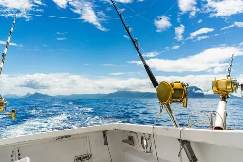 Rods and Fishing Lines in high sea in Mauritius