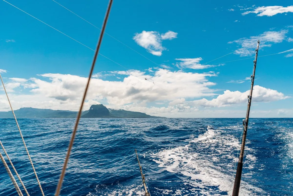 Fishing rods with an offshore view of Le Morne Brabant Mountain in Mauritius from a fishing boat