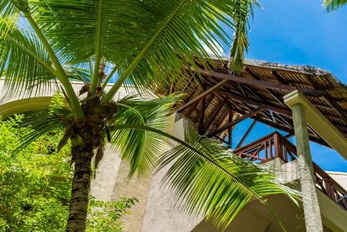 Constance Room front view next to coconut tree