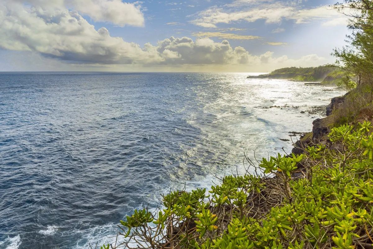 Sun reflection on ocean near cliffs with green plants and forest in Mauritius