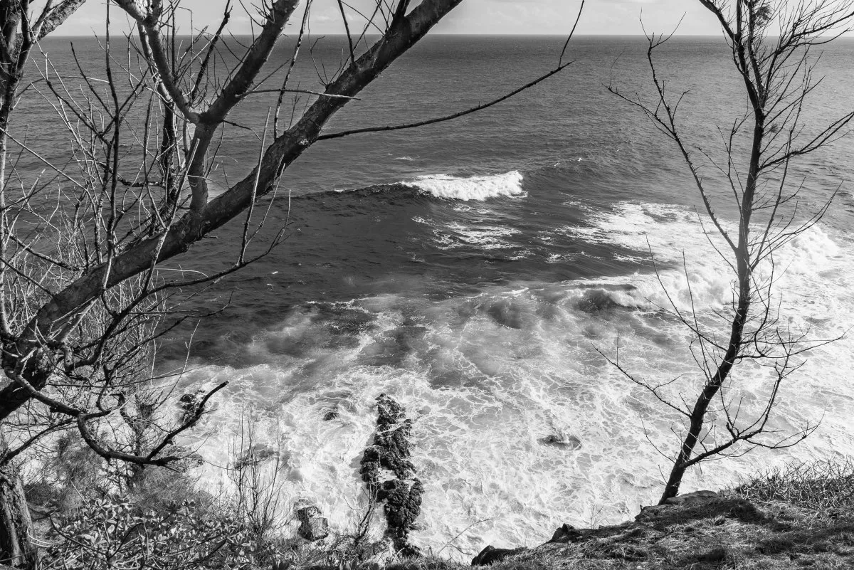 Black and white photo of ocean waves crashing on rocky shore with dry tree branches in Mauritius.