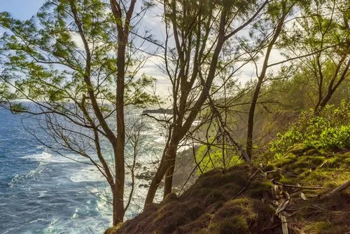 Best secret wild Cliff in Mauritius