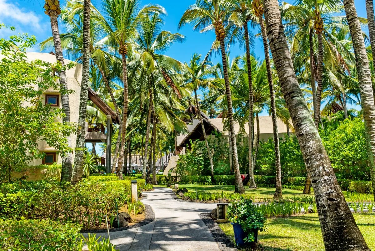 Garden with coconut trees and green plants at Constance Belle-Mare Plage Hotel in Mauritius.