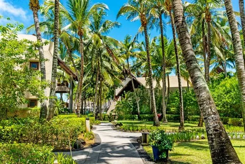 Constance hotel garden with coconut trees and green plants