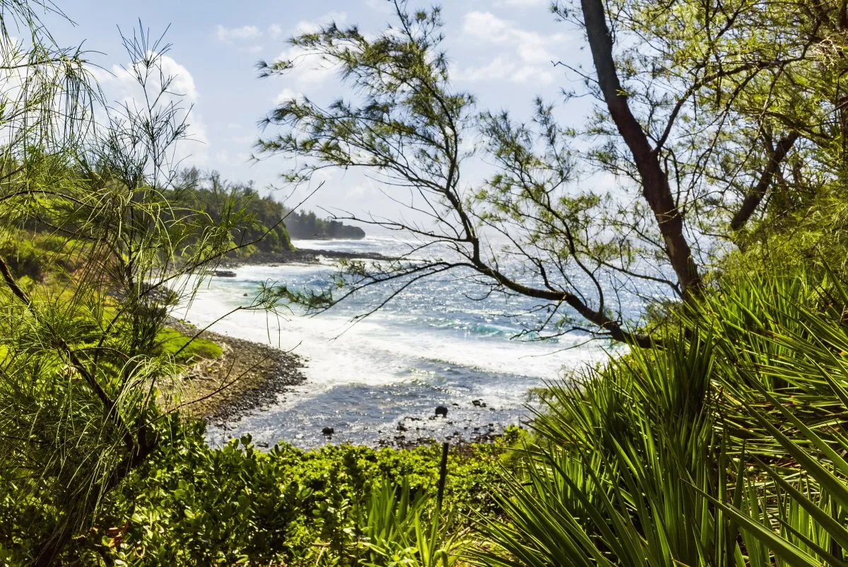 Riviere des Anguilles river flowing into the sea with wild vegetation on the South Coast of Mauritius