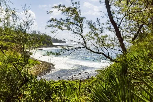 Riviere des Anguilles river flowing into the sea