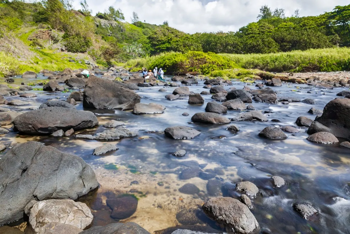 Fishermen with nets at a lush green river estuary in Mauritius