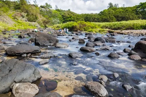 Mauritius river in Green Estuary with fishermen
