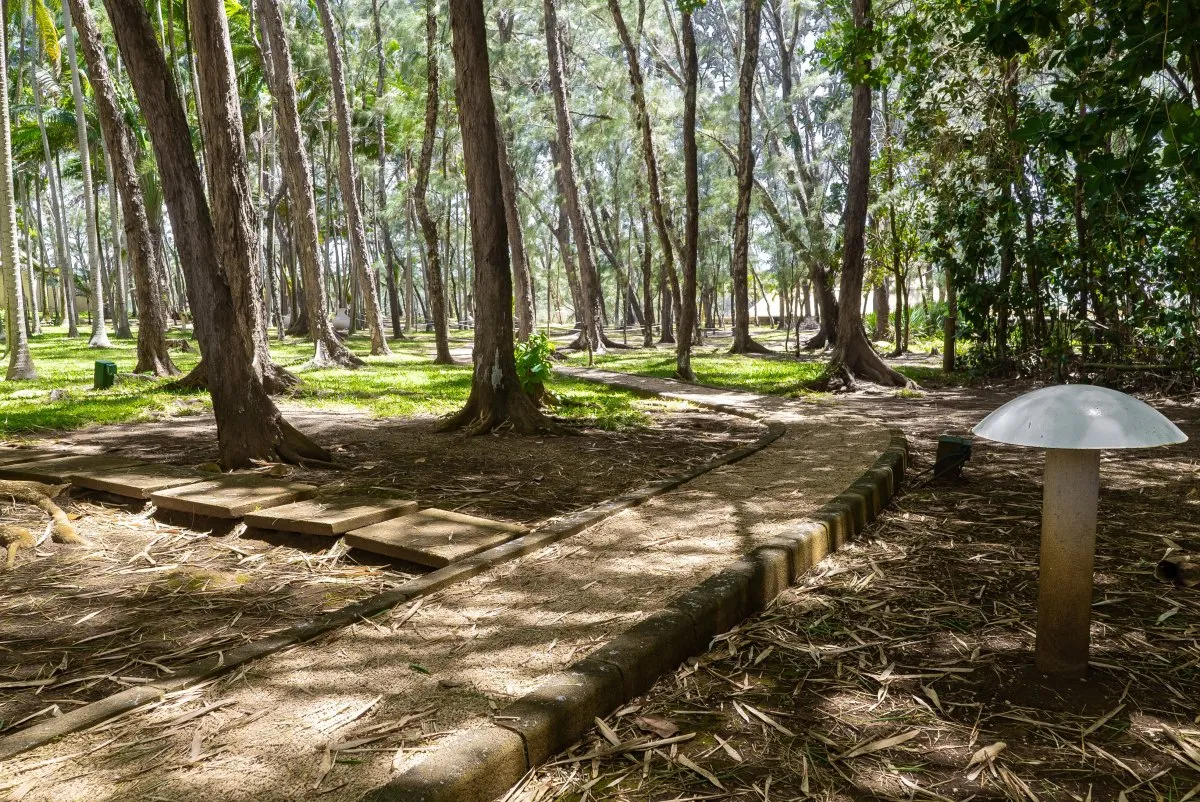 Pathway through peaceful garden trees near Andrea Lodges in Mauritius