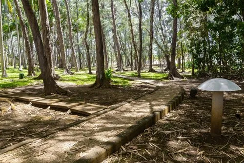 Walk among peaceful garden trees