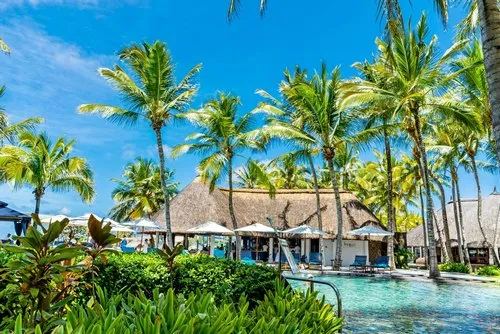 Hotel Pool with palm trees all around under blue sky
