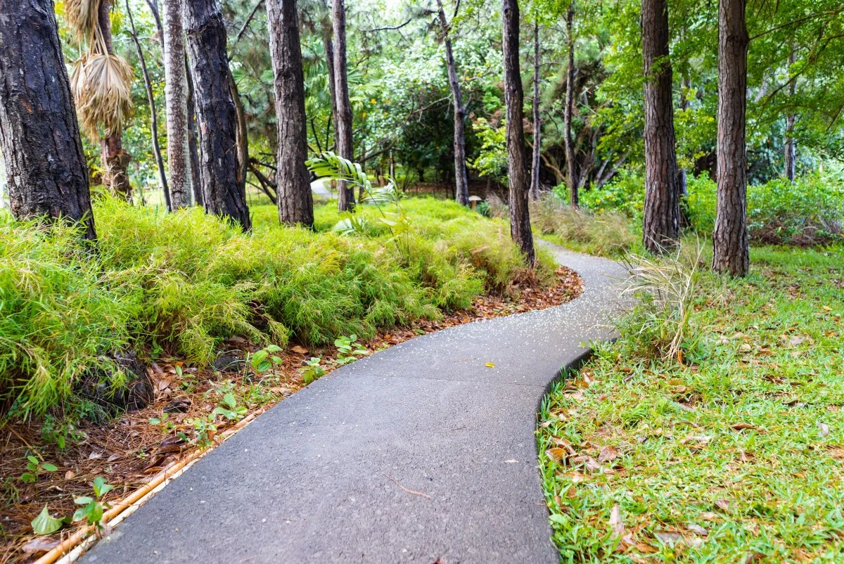Concrete pathway surrounded by trees and grass in L'Exil Forest, Mauritius, showing a peaceful natural setting