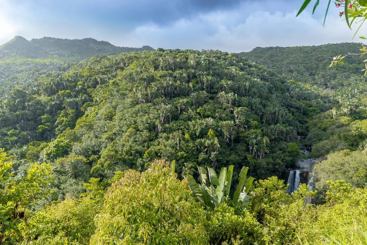 View of Cascade Leon waterfall from a lush forest in Mauritius with mountains in the background