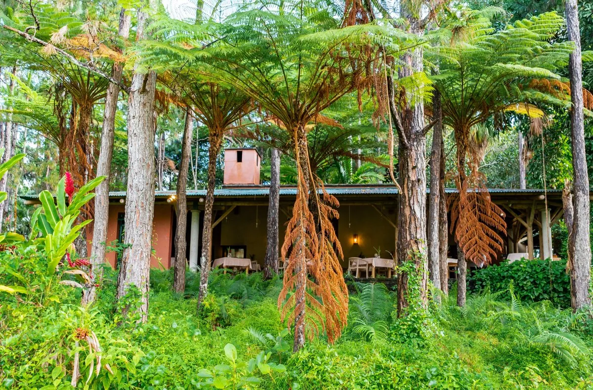 L'Exil Restaurant surrounded by lush vegetation and tropical plants in Mauritius