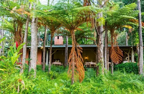 L'Exil Restaurant surrounded by a lush vegetation
